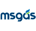 lg_msgas2